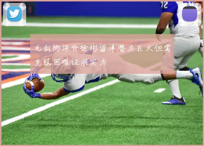 毛剑卿评价徐彬留洋潜力巨大但需克服困难证明实力