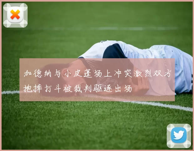 加德纳与小皮蓬场上冲突激烈双方抱摔打斗被裁判驱逐出场